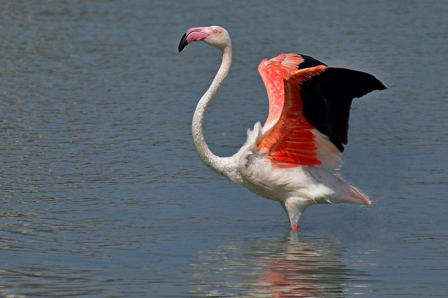 , Корнейчук Игорь