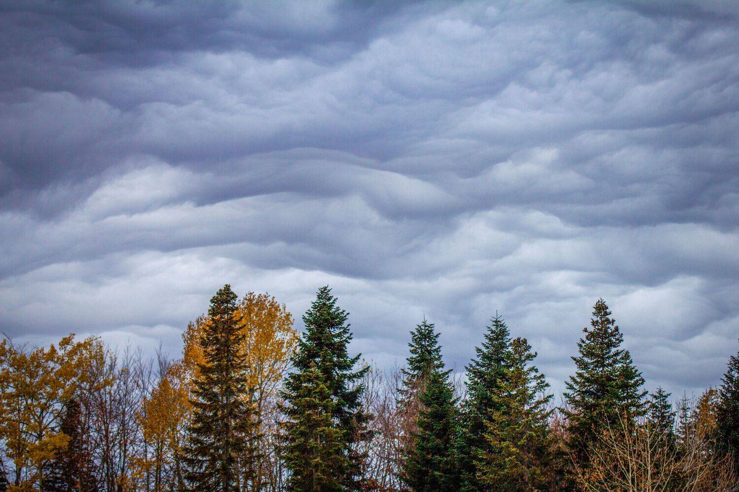 , Сергей Фаренюк