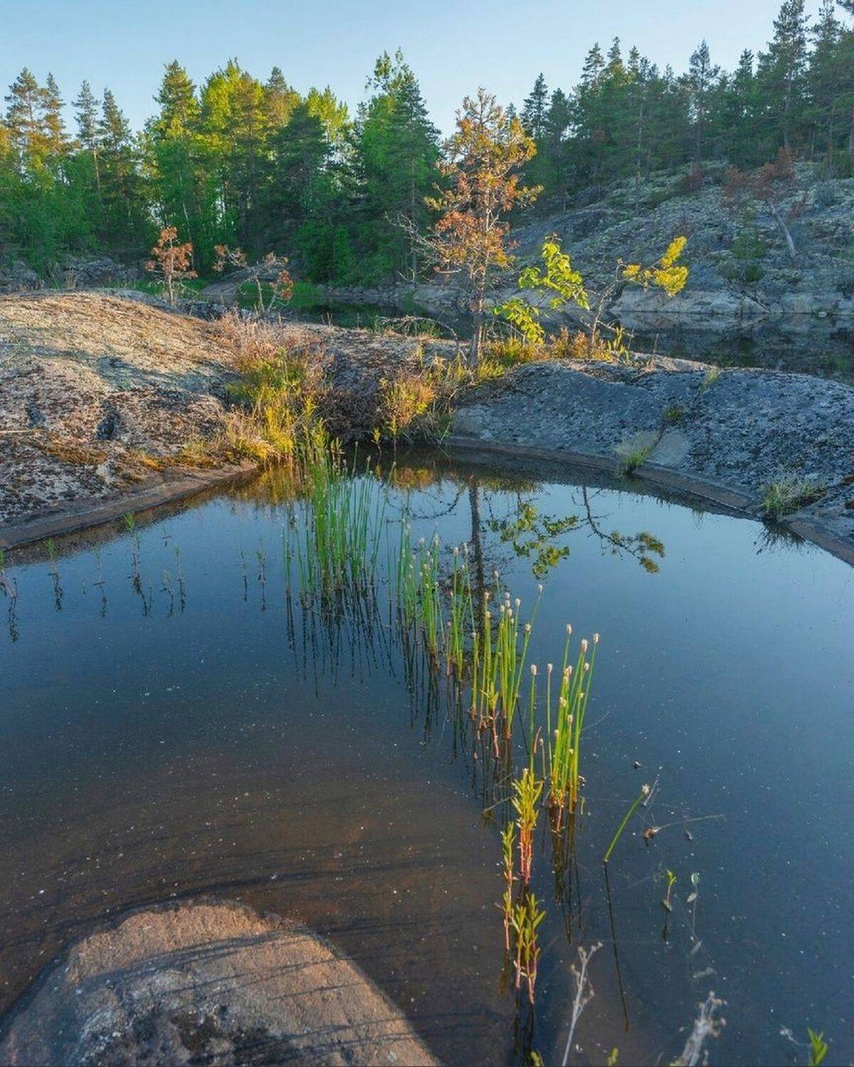 , Петр Косых