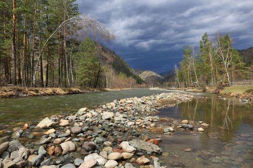Чемал. Перед грозой.