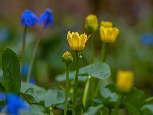 Пробуждение