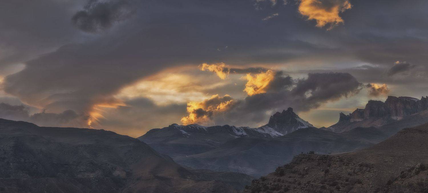 , ПУЗЕНКО ДМИТРИЙ