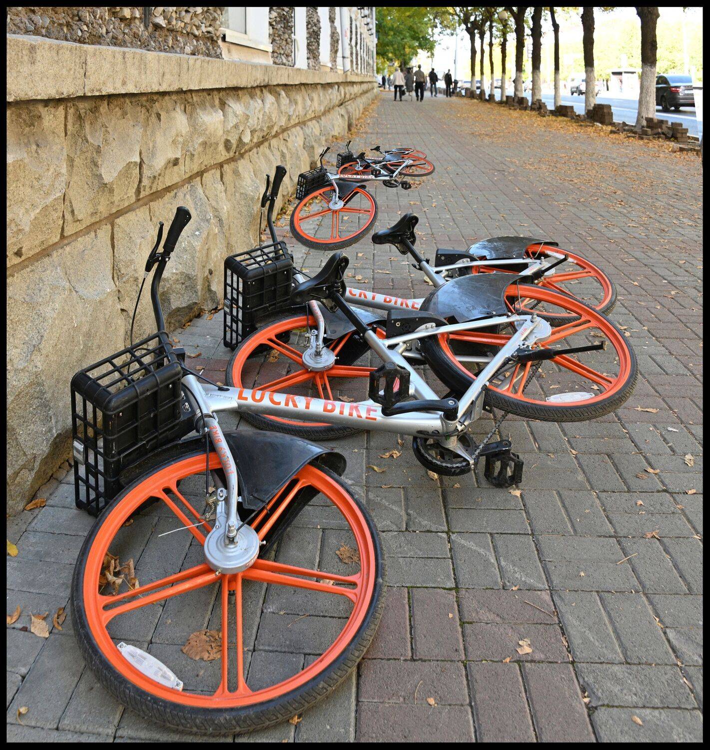 , Меднов Влад