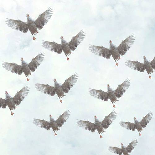 Красиво летят