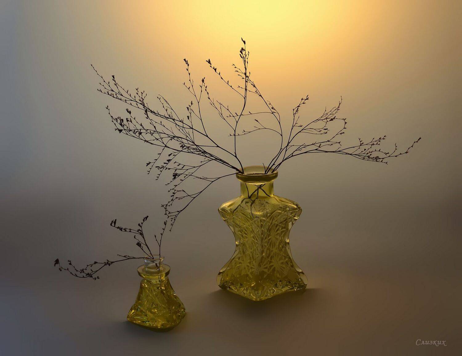 свет,кермек,стекло,цвет, Инаида