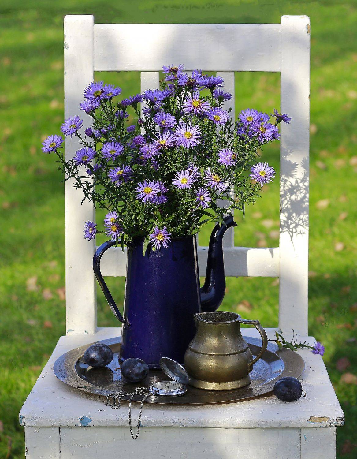 , Наталья Казанцева