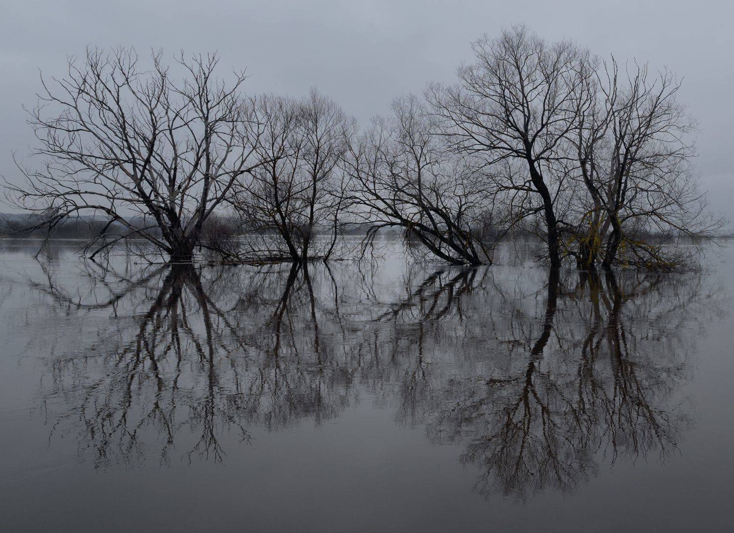 , Баранов Олег