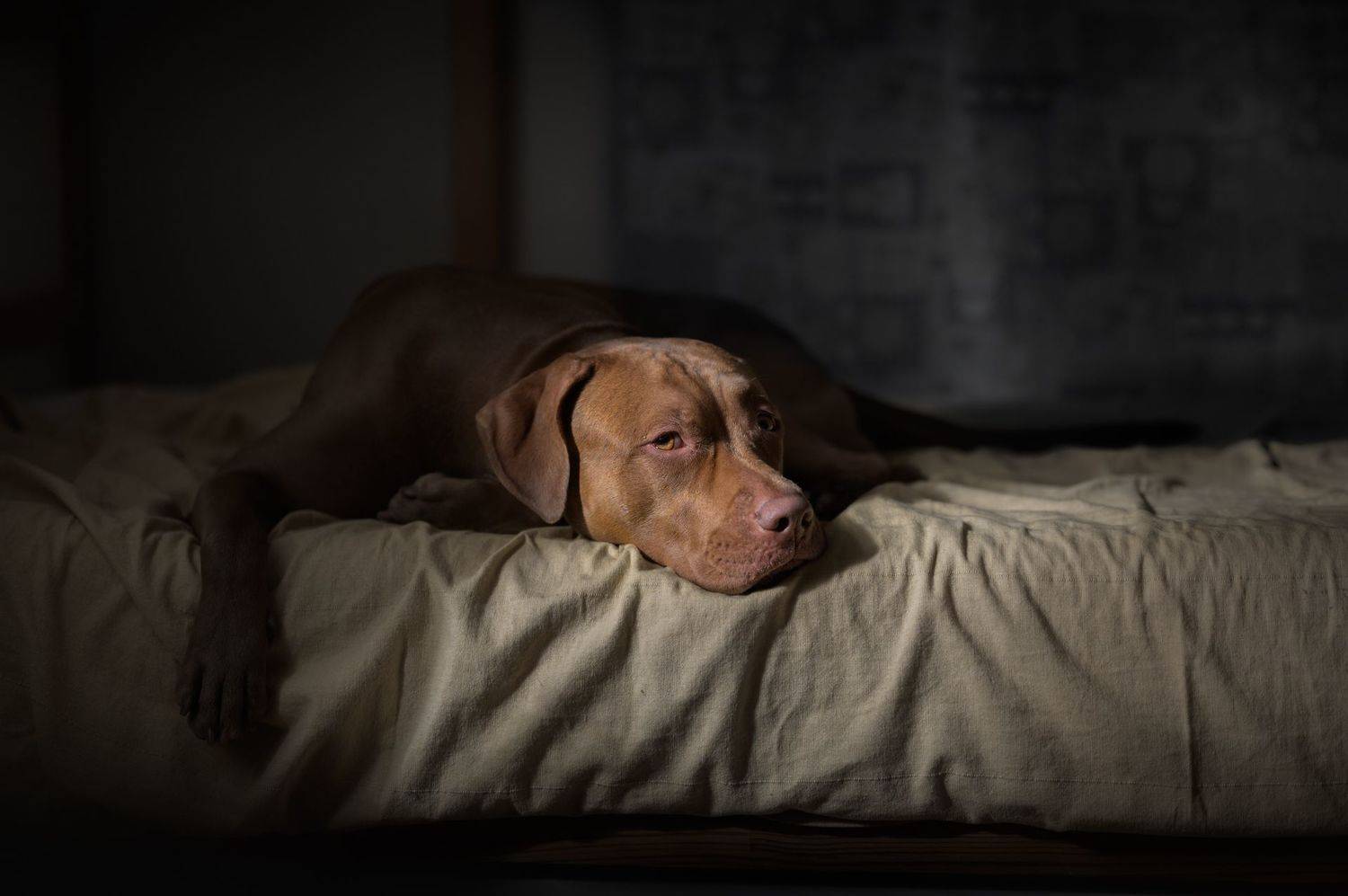 , Фабричный Роман