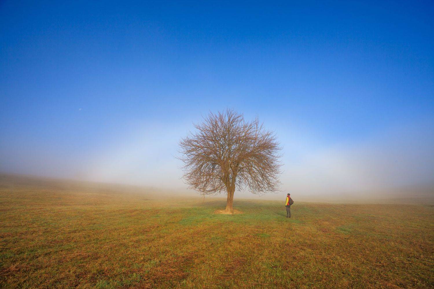 ,  Mirosław Pruchnicki
