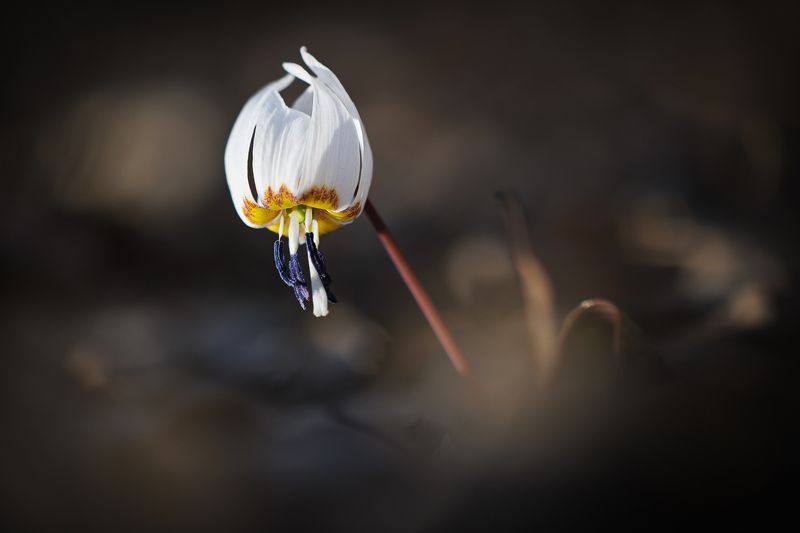 2023 фото превью