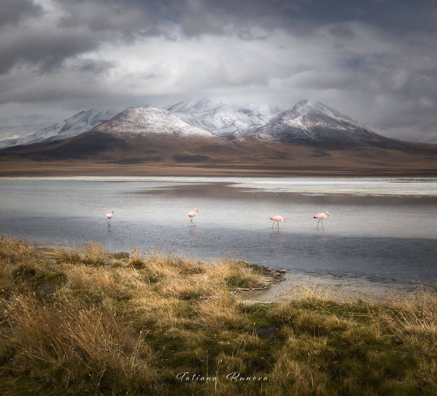 , Рунова Татьяна