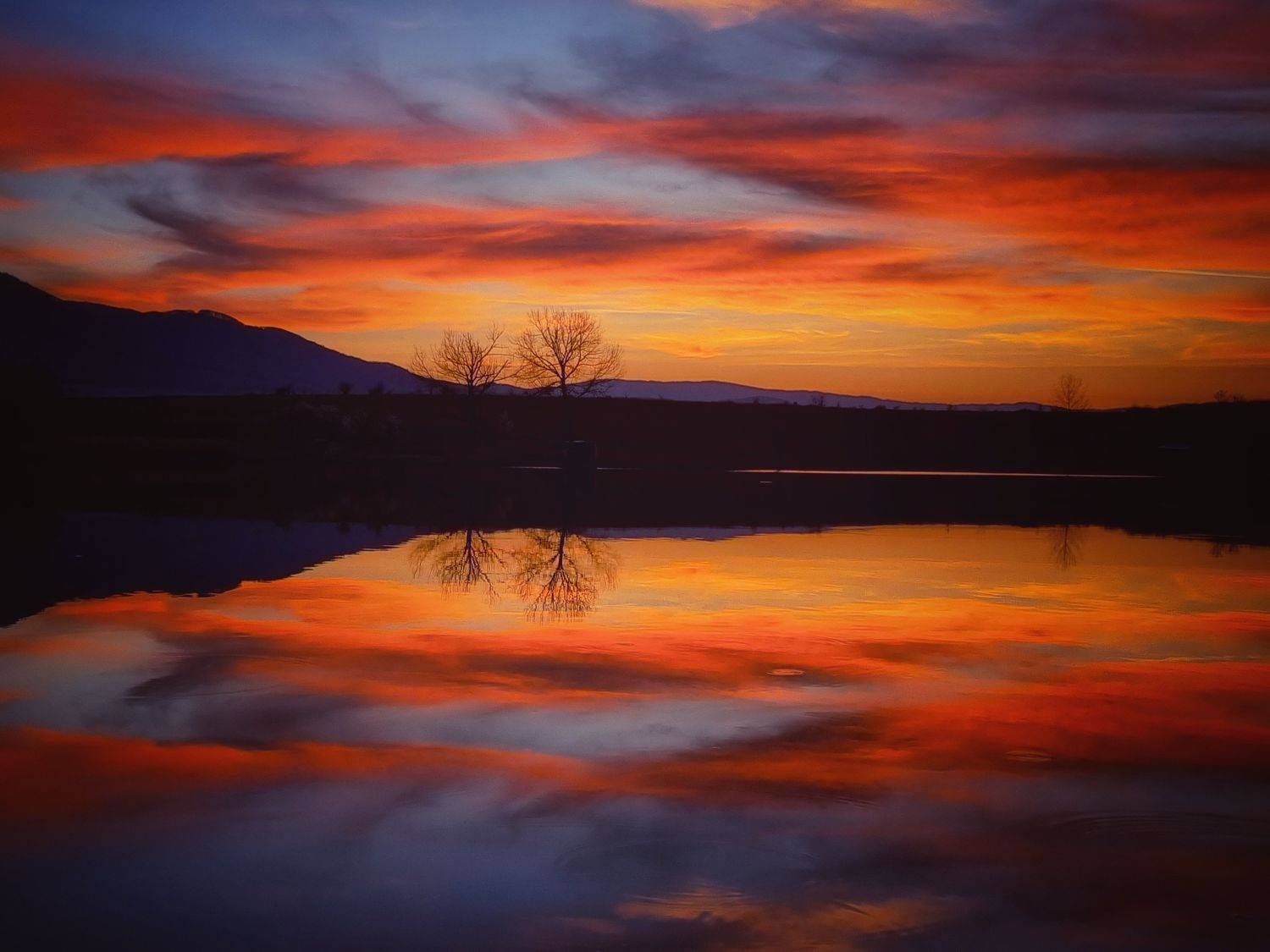 , Герчев Николай