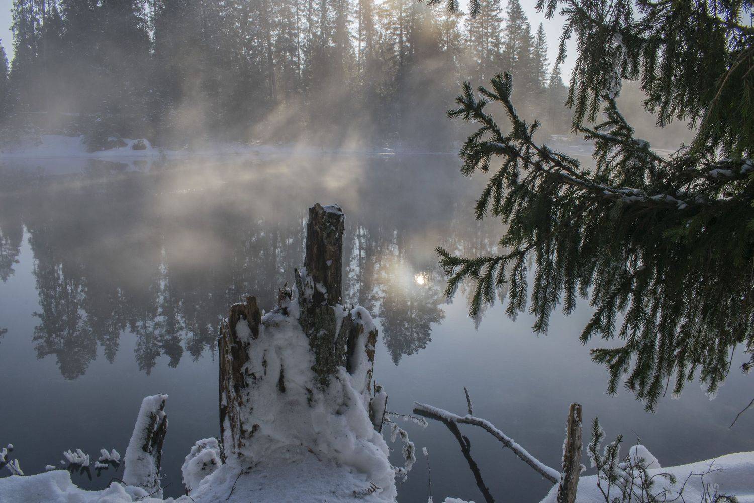 , Галина Луценко