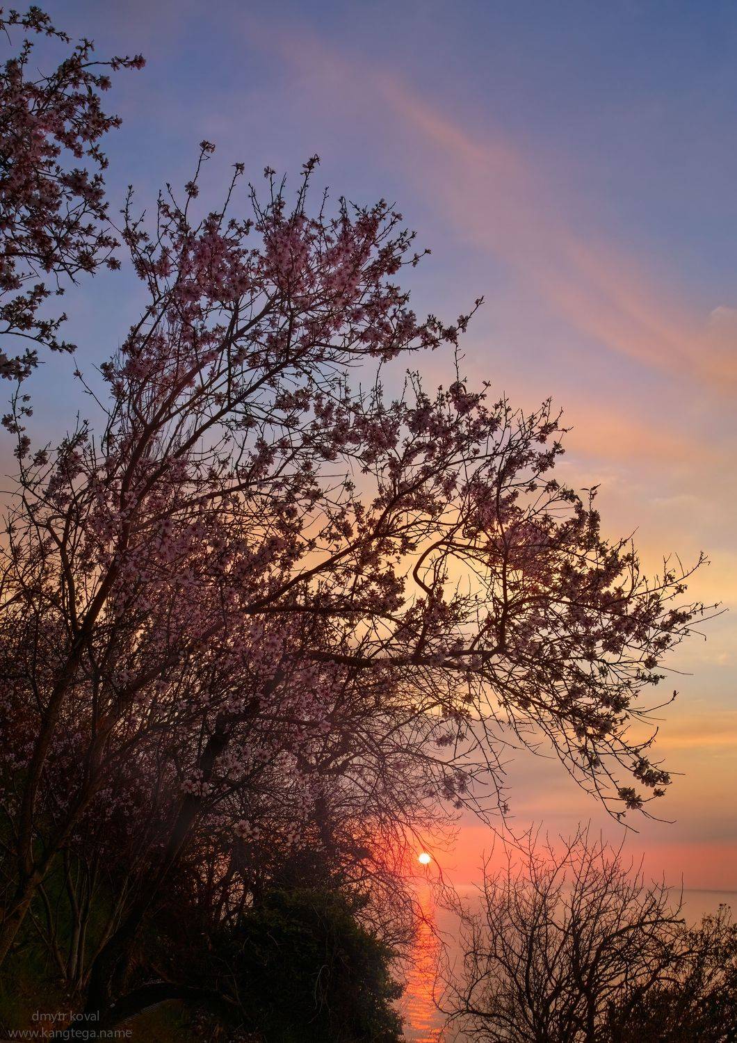 дмитр коваль, гималаи и крым вне треков, пейзаж как магия, Коваль Дмитр