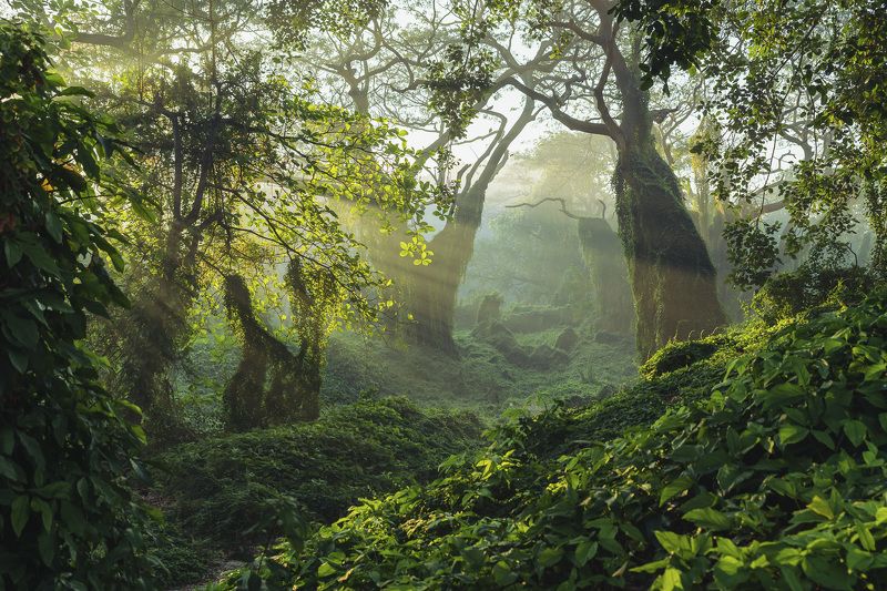 sleeping giants II фото превью