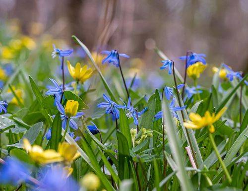 Весеннее утро