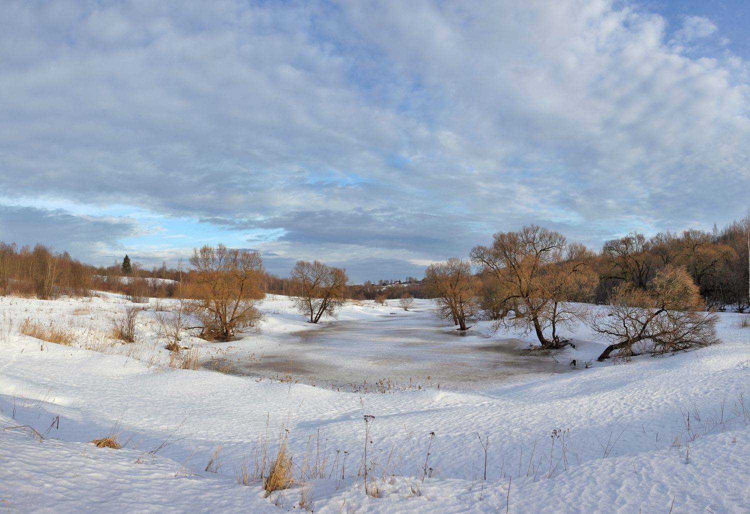 весна , поле , лес, Александр Свистков