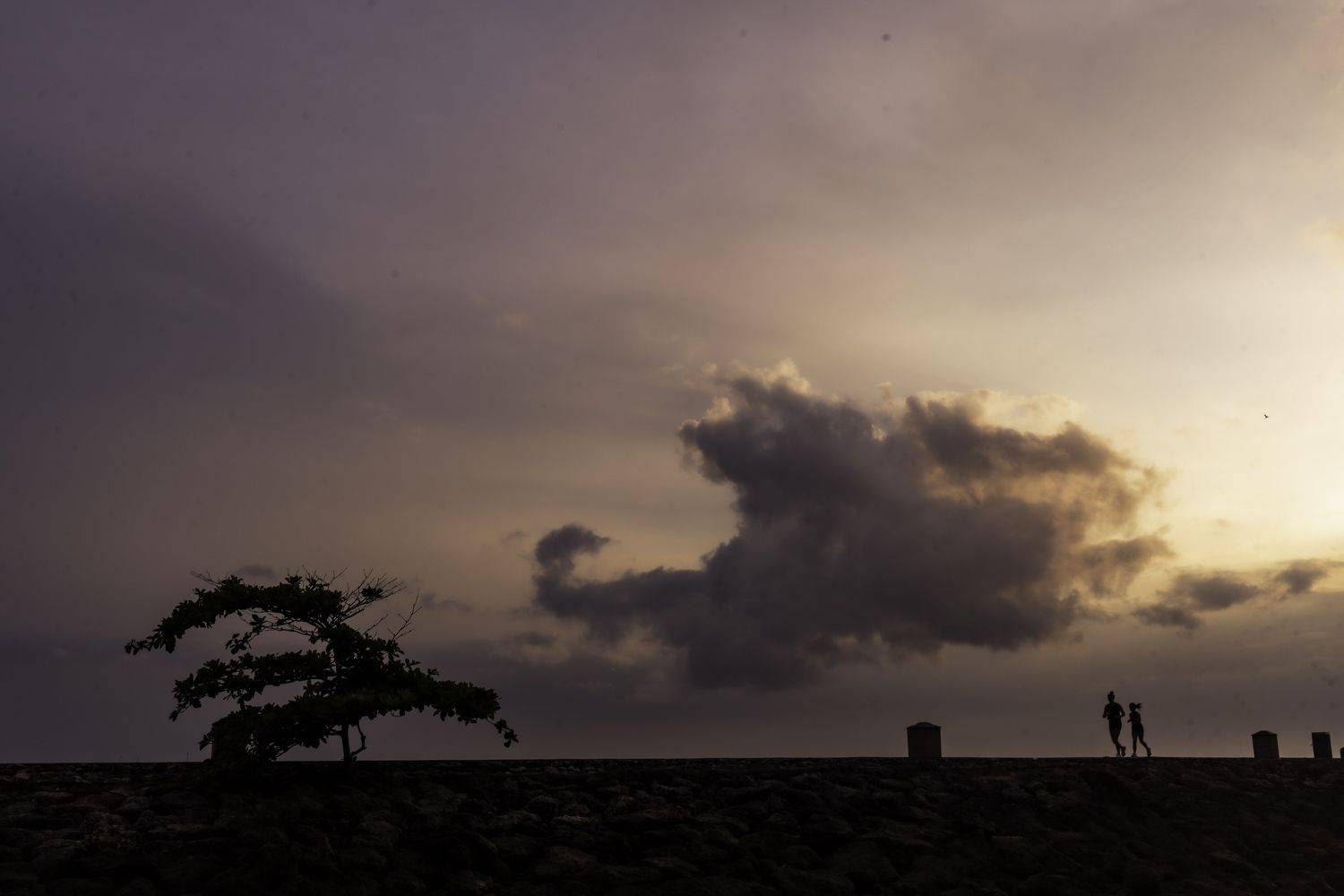 , Могилевич Elena