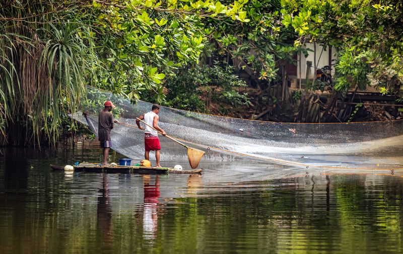 == фото превью