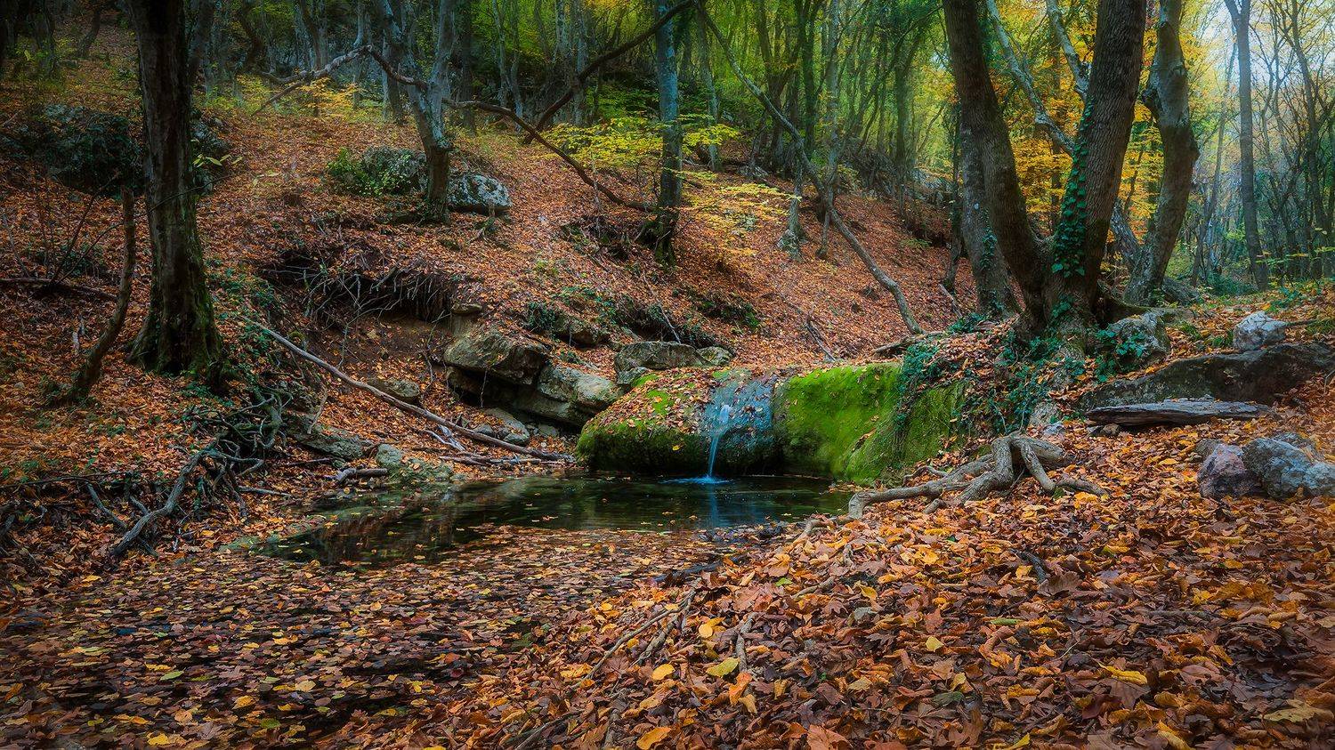 , Владимир Яковлев