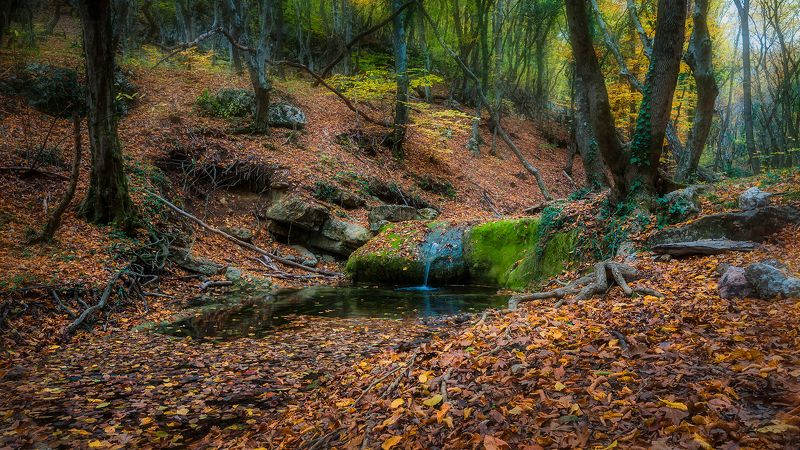 Этюд фото превью