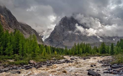 Просто летний дождь прошел