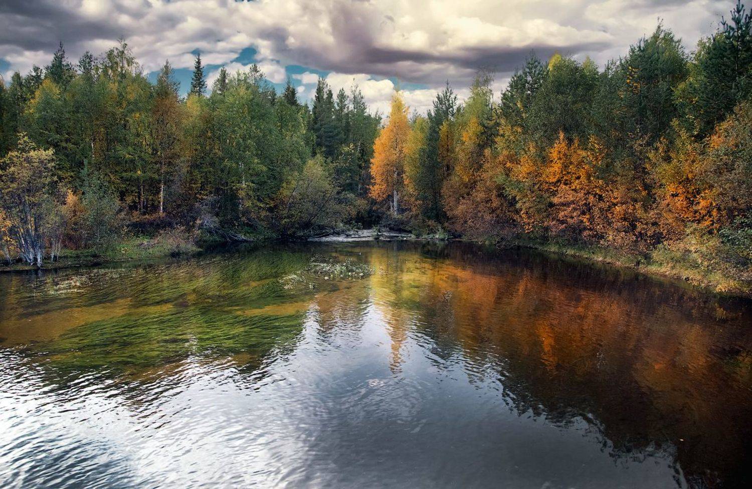 ковдор, мурманская область, кольский, Покровский Алексей