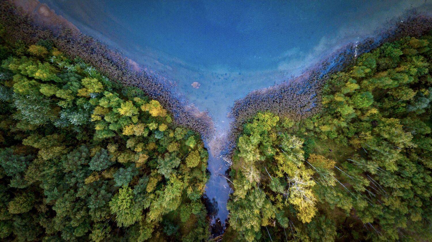 , Сергей Фаренюк