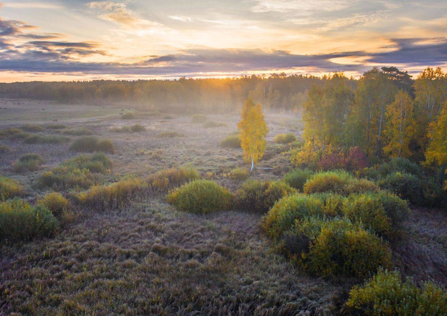 зауралье, осень, Кутыгин Эдуард