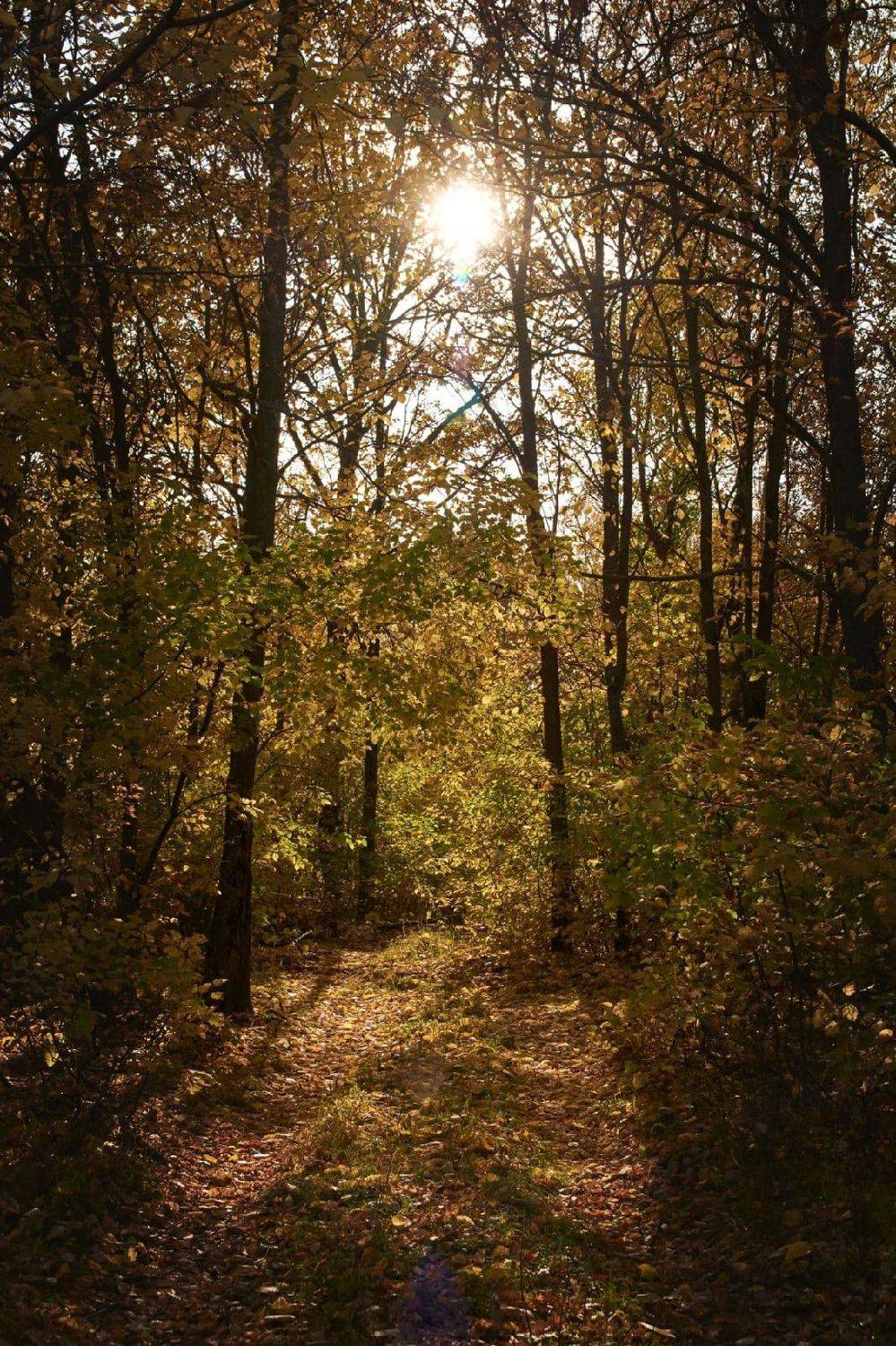 , Сергей Калёв