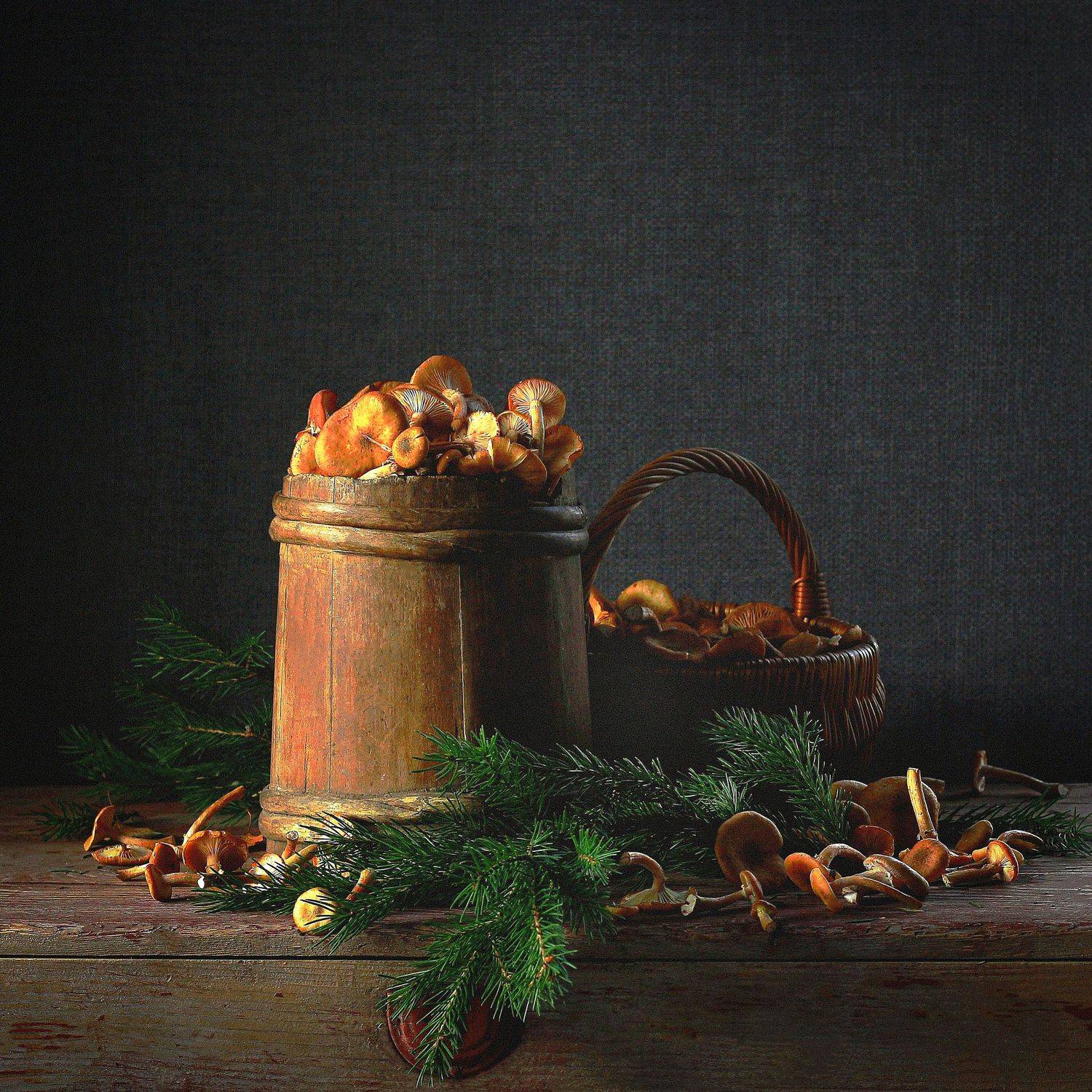 , Наталья Казанцева