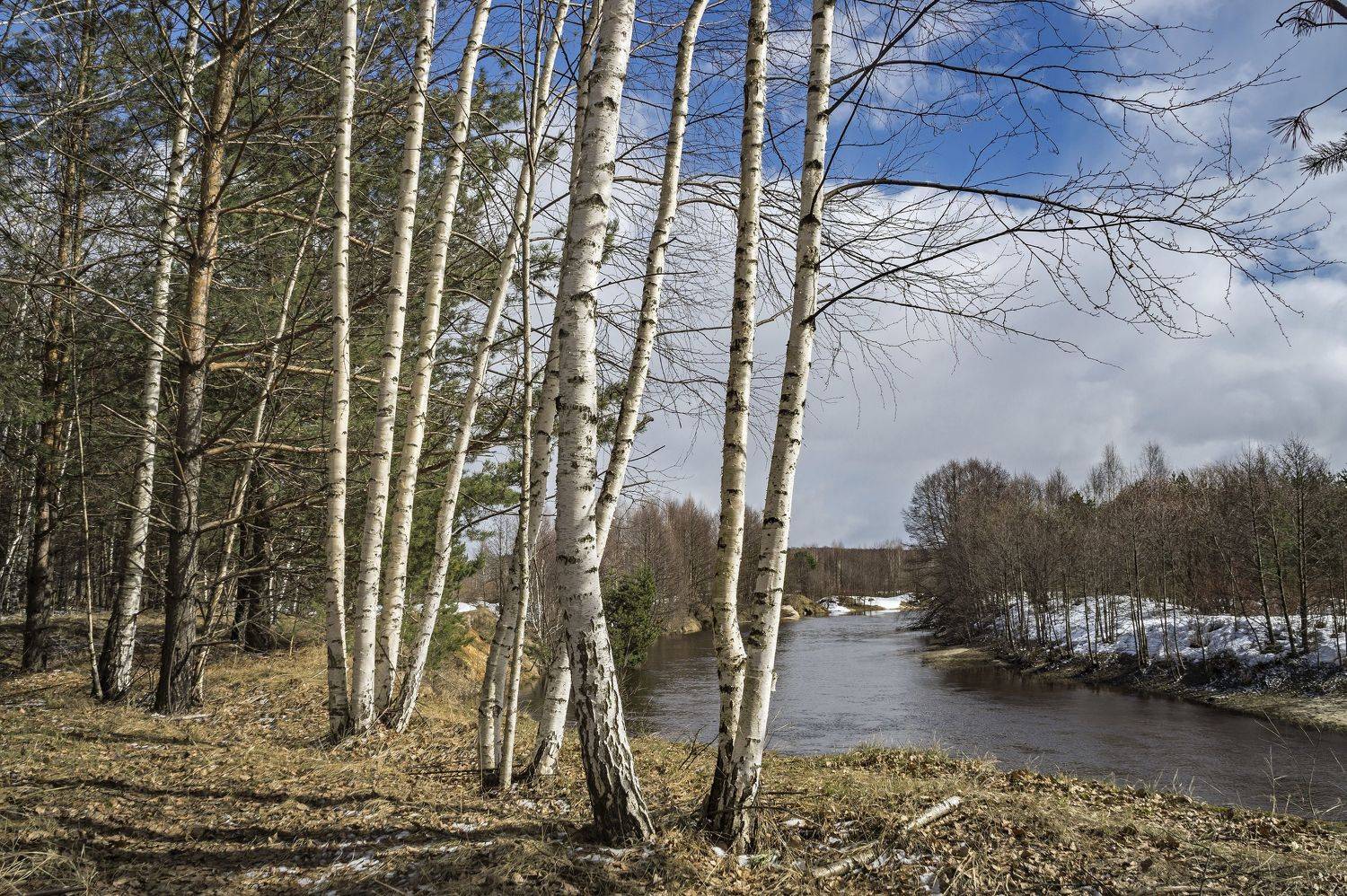 весна., Шитов Александр