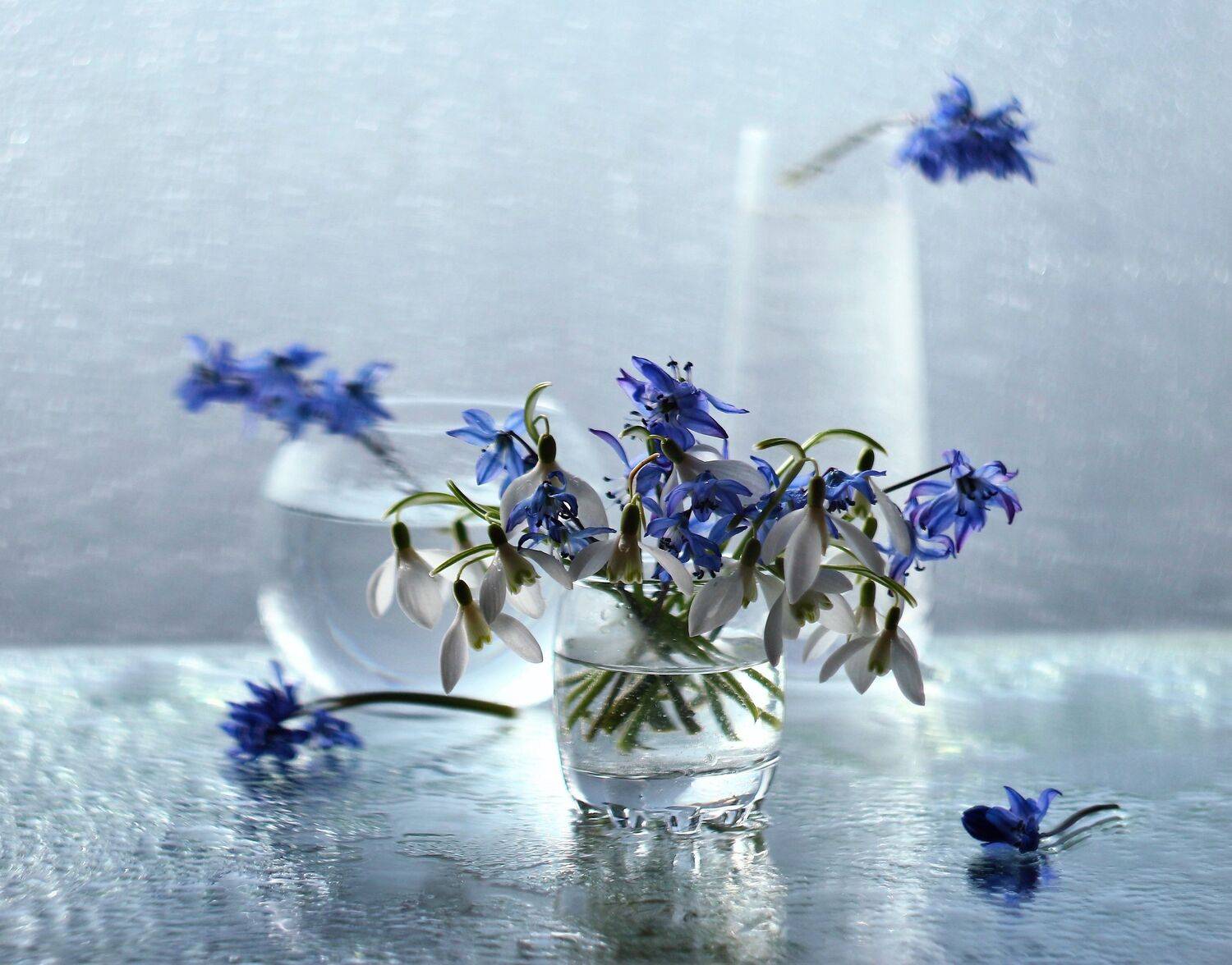 , Людмила Хрусталева*