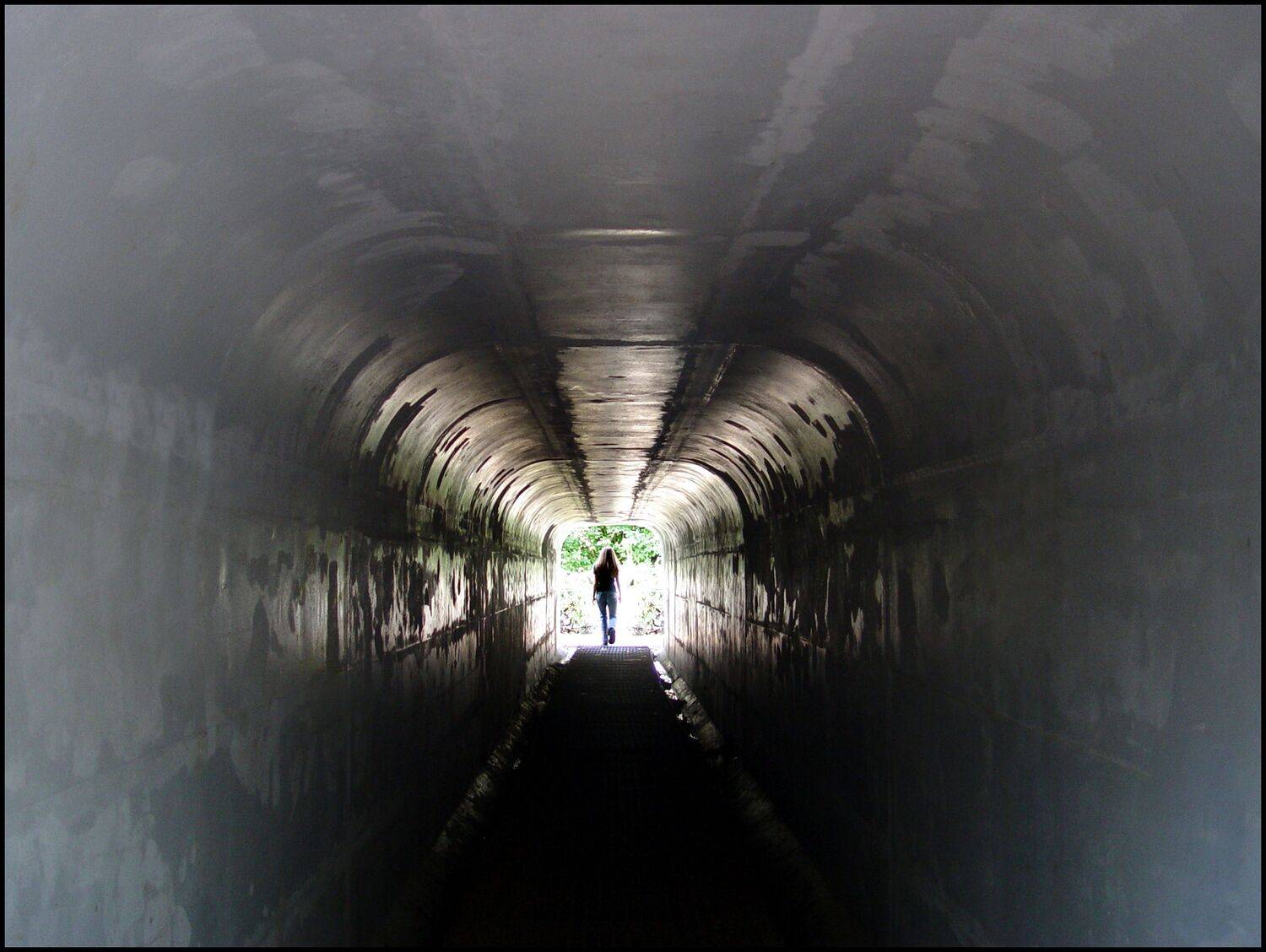 , Меднов Влад