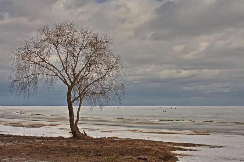 На рыбалке фото превью
