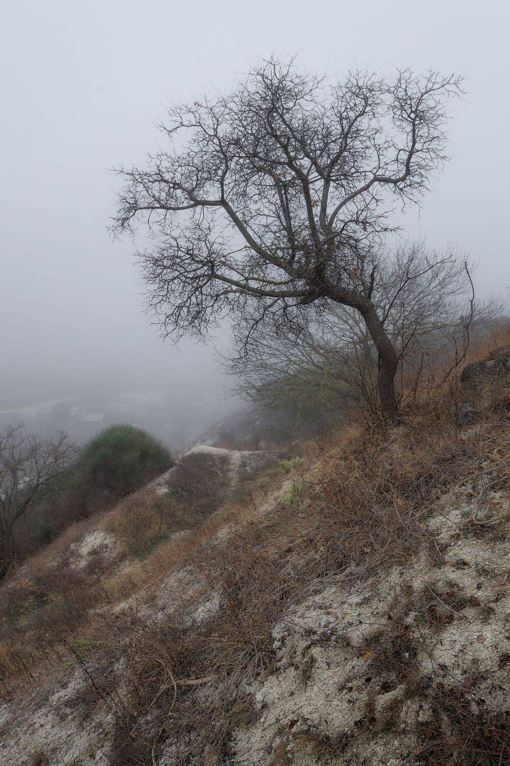 крым, туман,, Черкасов Сергей