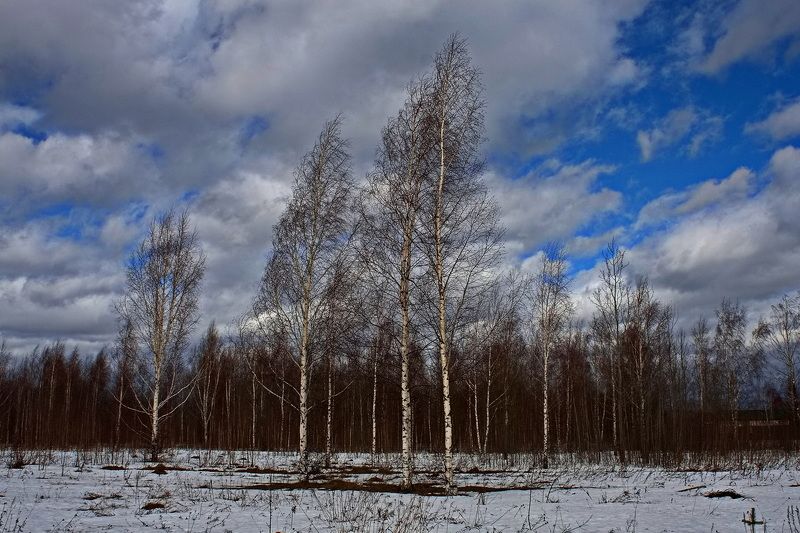 Весна фото превью