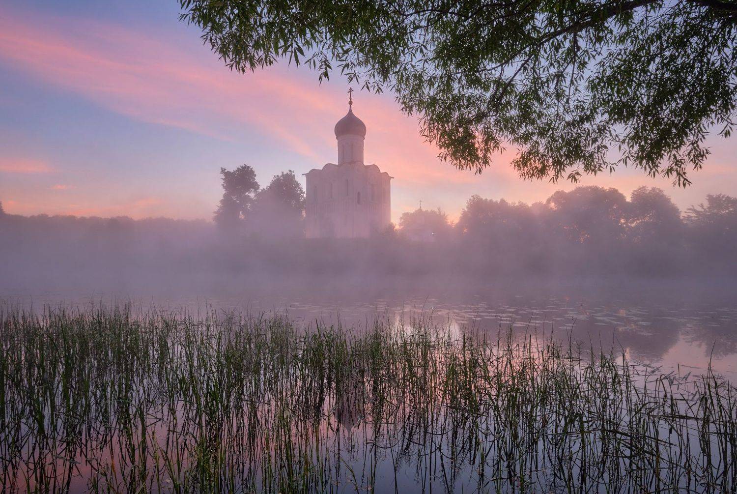 утро, рассвет, туман, лето, покрова на нерли, храм, архитектура, пруд, Горшков Игорь