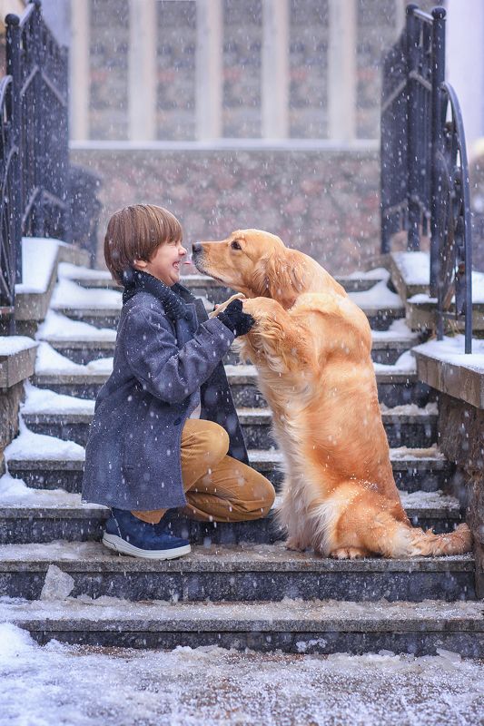 Прогулка с лучшим другом фото превью