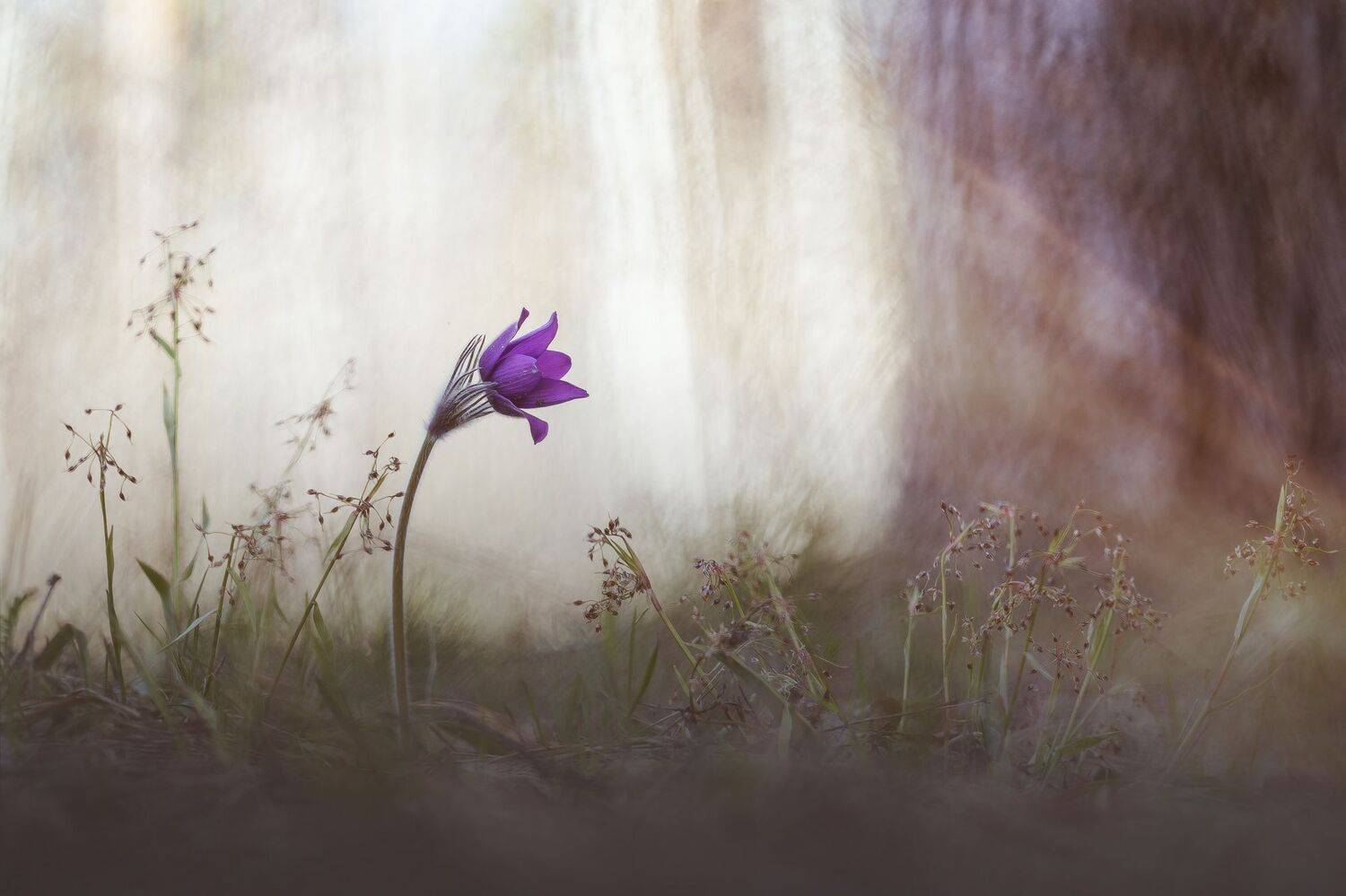 , Кузнецов Дмитрий