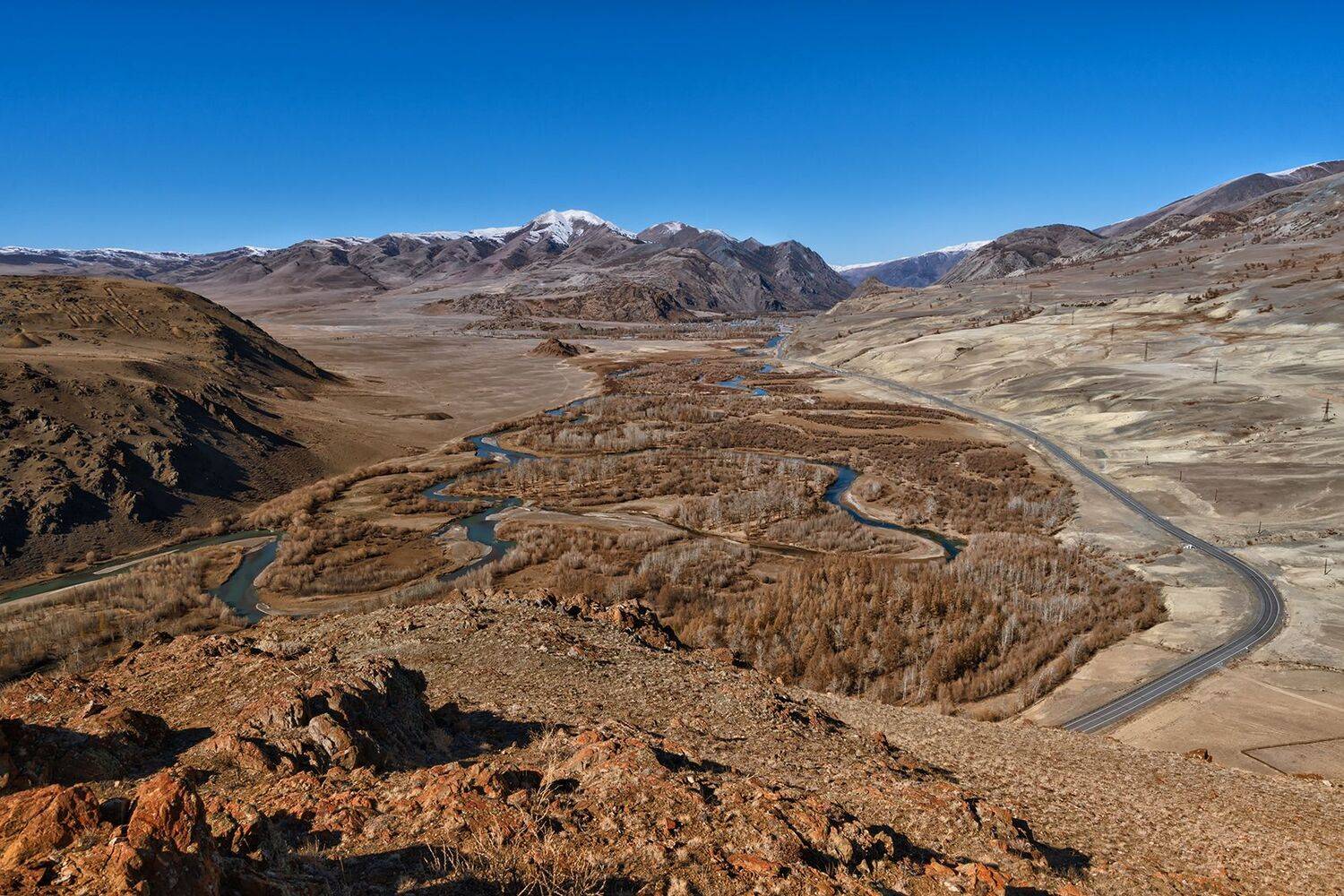 , Лариса Николаевна Дука