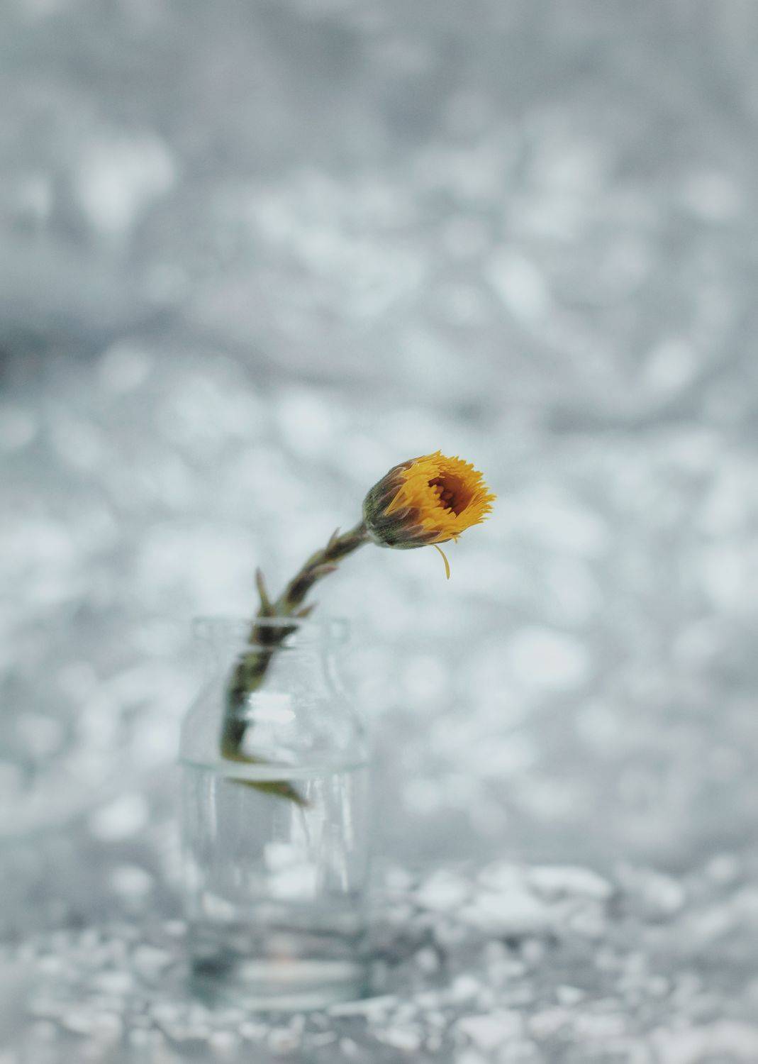 , Евгений Белов