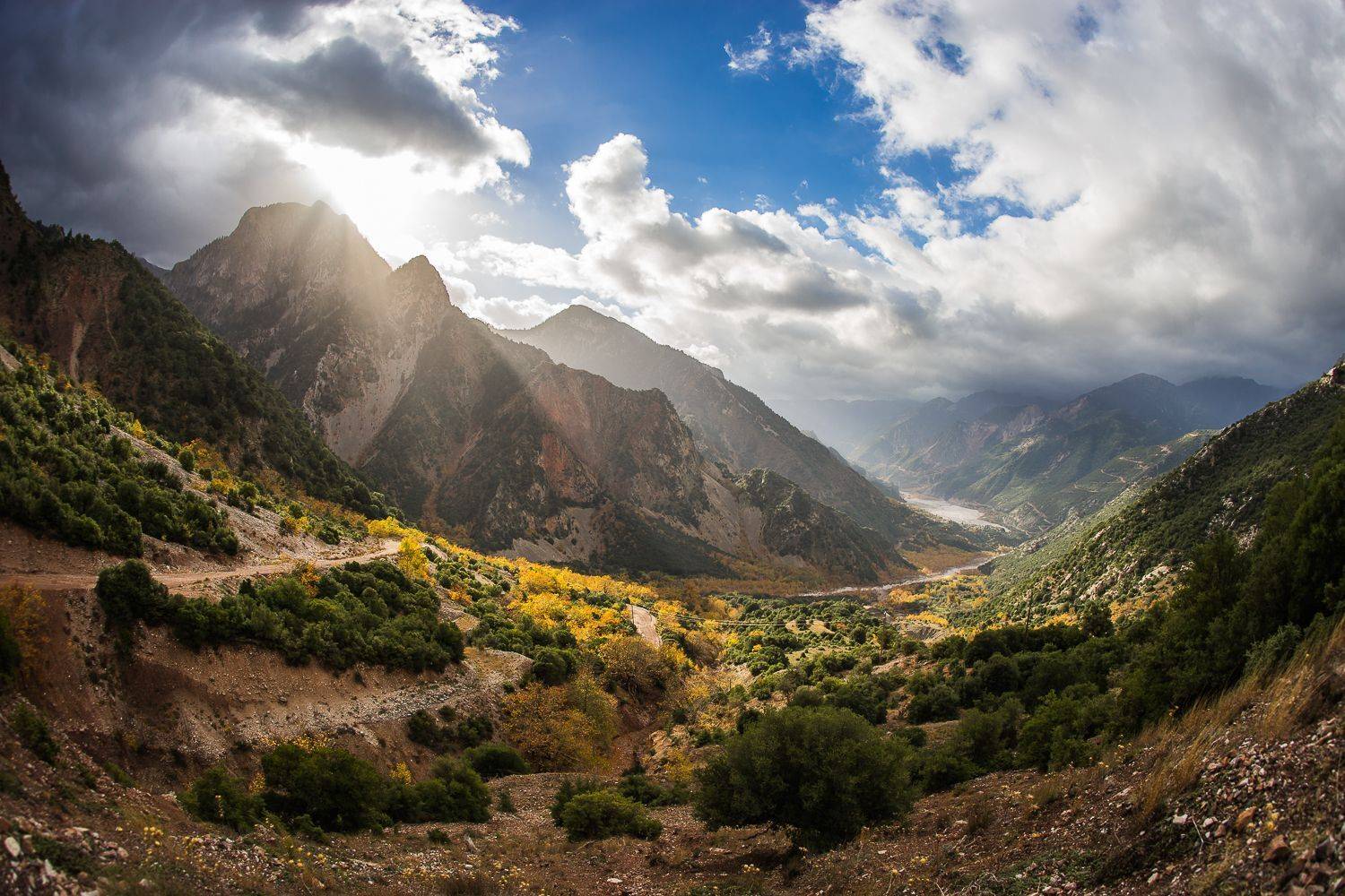 , Максимова Дария