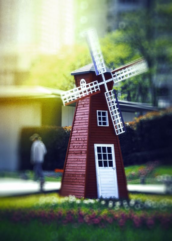 红色风车 红色风车 фото превью