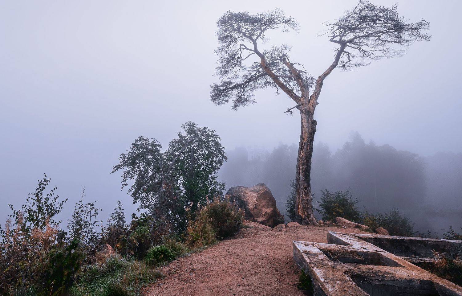 пейзаж природа остров сосна туиан развалины осень, Тамара