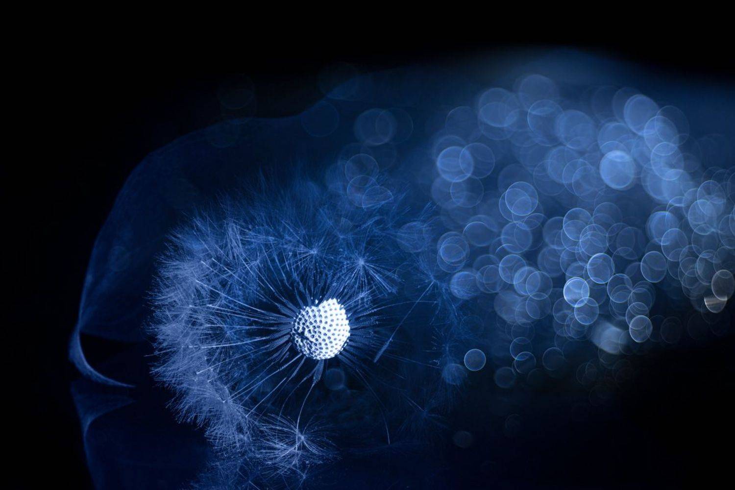 close-up, Игорь Копцев