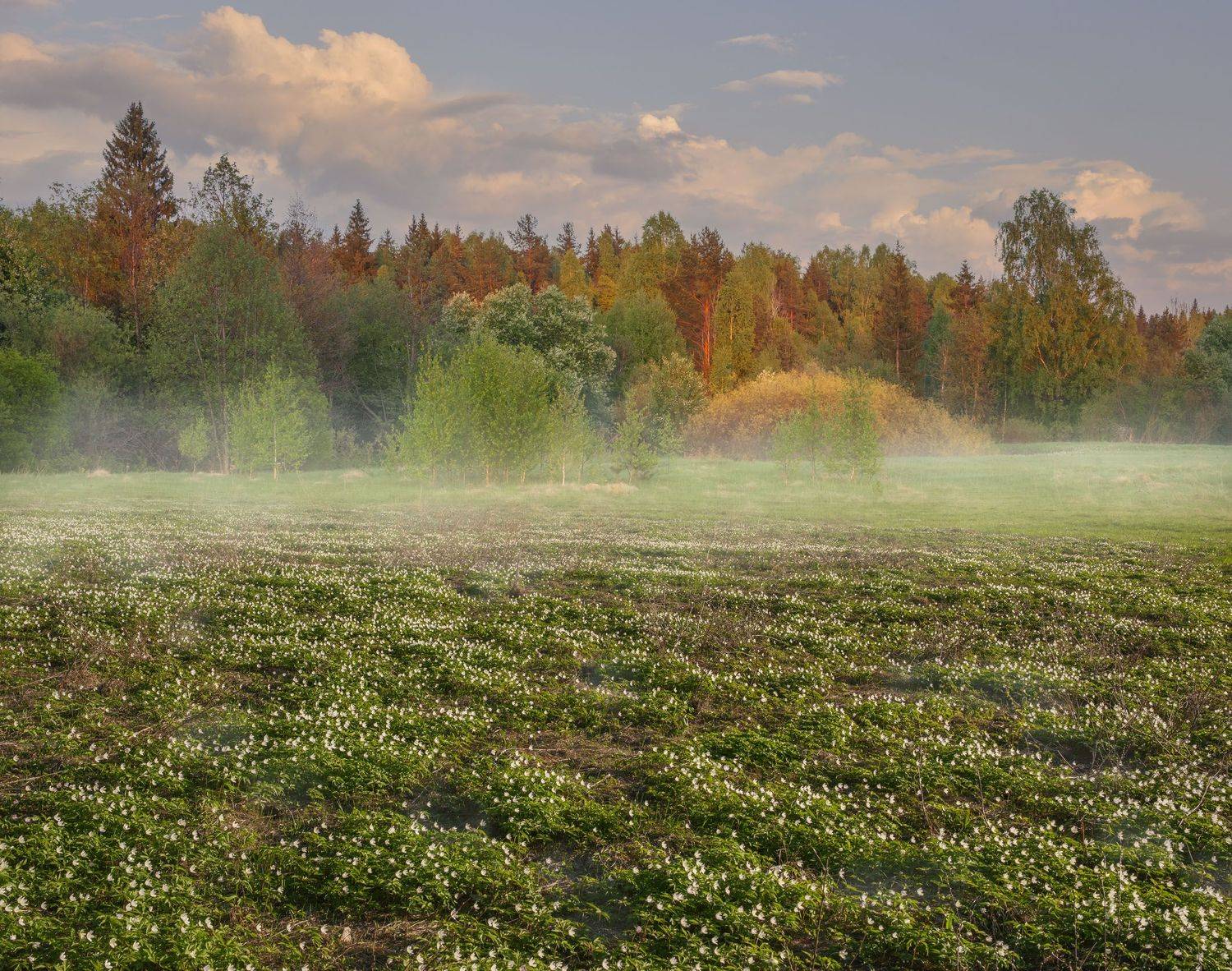 Фототуры с Владимиром Рябковым, #topnature #russpasibo #magic_shots #lovelyRussia #sunset_vision #exclusive_sky  #exclusive_shots #loves_russia2 #photoarena_nature #nature_sultans #nature_perfection #rsa_sky #rsa_sunset #photorussia #rsa_naturepics #sunse, Владимир Рябков