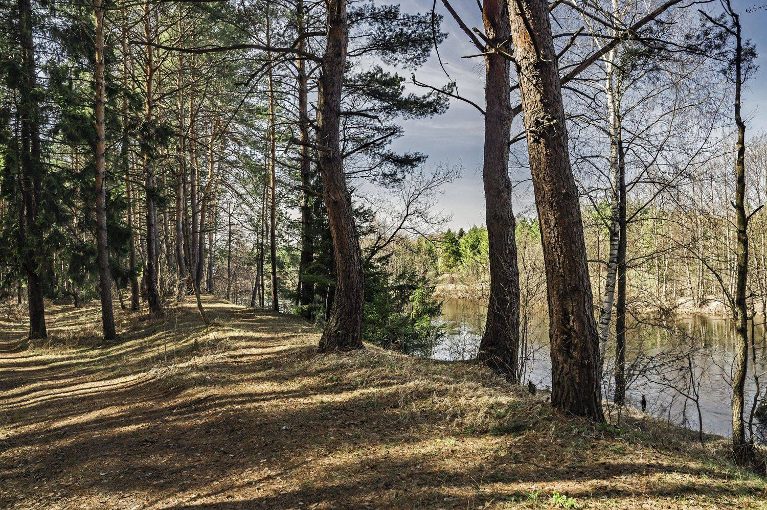 весна., Шитов Александр
