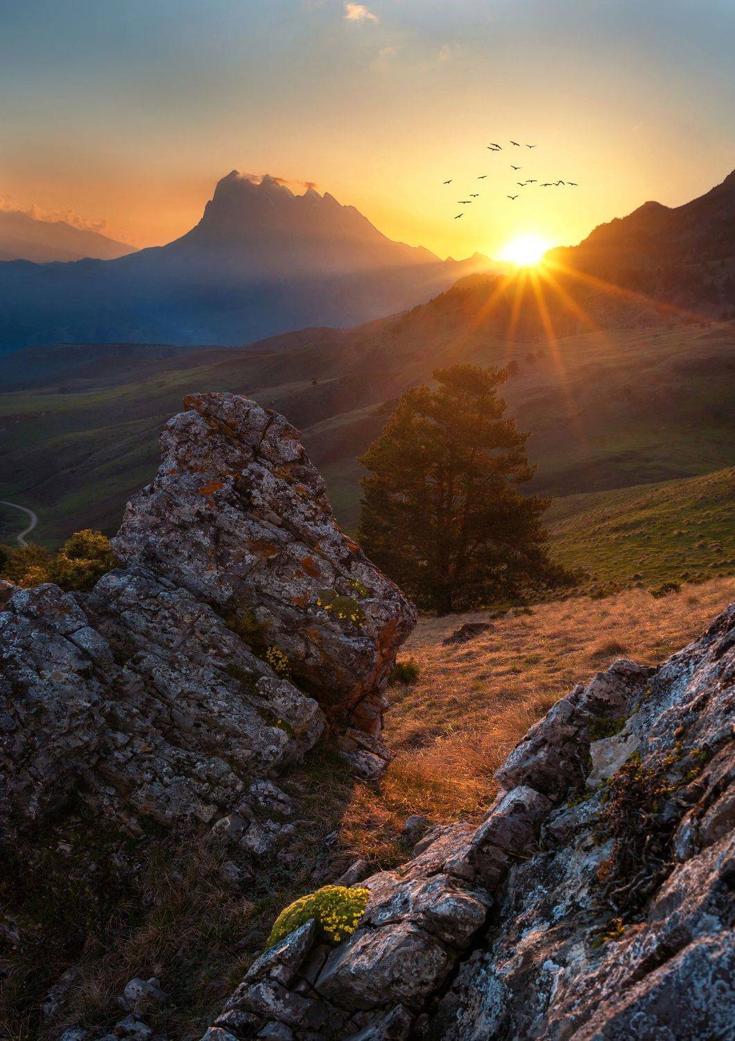 , Алексей Дранговский