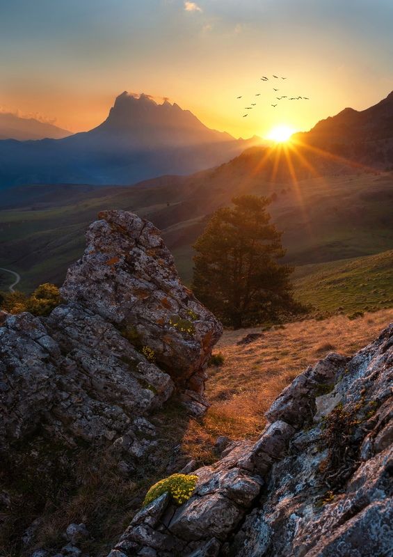 Цей-Лоам фото превью